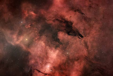 The Dark Wolf Nebula