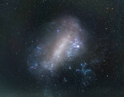 The Large Magellanic Cloud