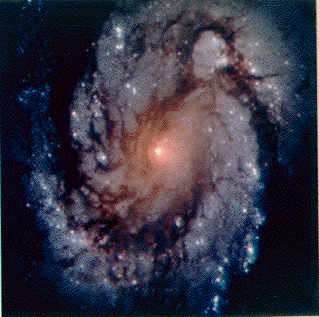 The Spiral Galaxy M100