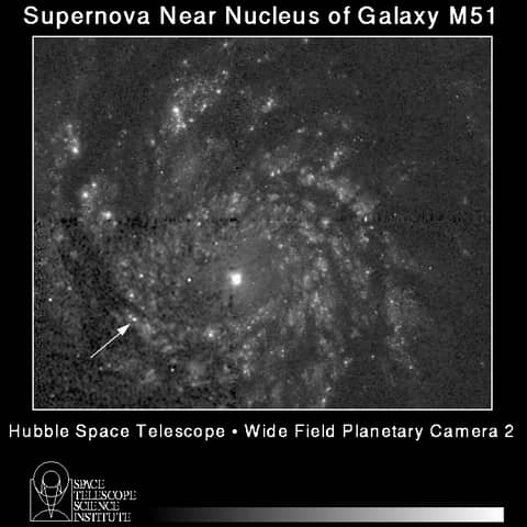 A Supernova in the Whirlpool