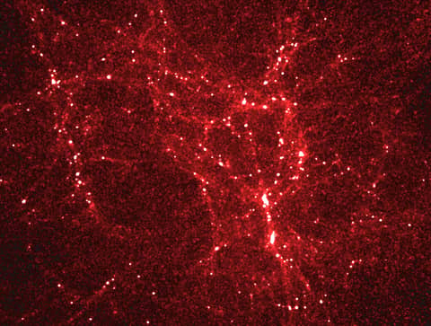 The Early Universe