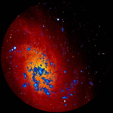 M33: The Triangulum Galaxy