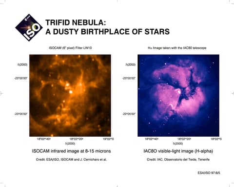 Infrared Trifid