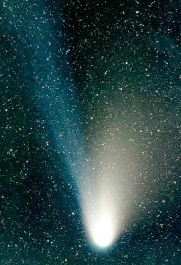 Comet Hale-Bopp Enters the Evening Sky
