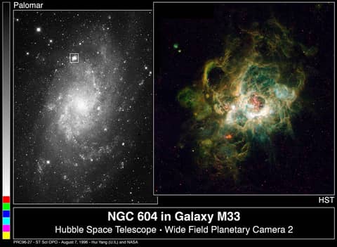 In the Center of NGC 604