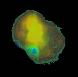 X-Rays From IC 443