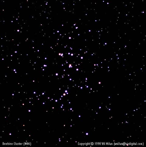 M44: A Beehive of Stars