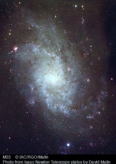 Nearby Spiral M33