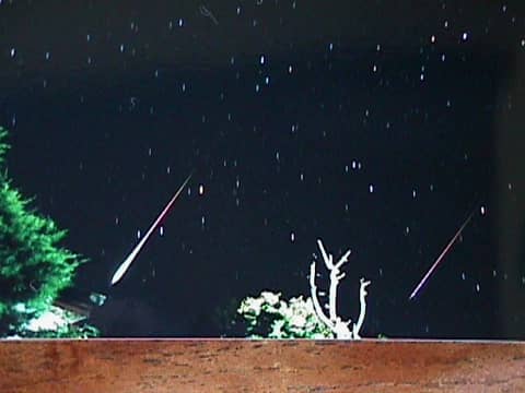 Bright Leonids
