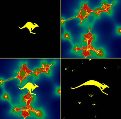 A Network of Microlensing Caustics