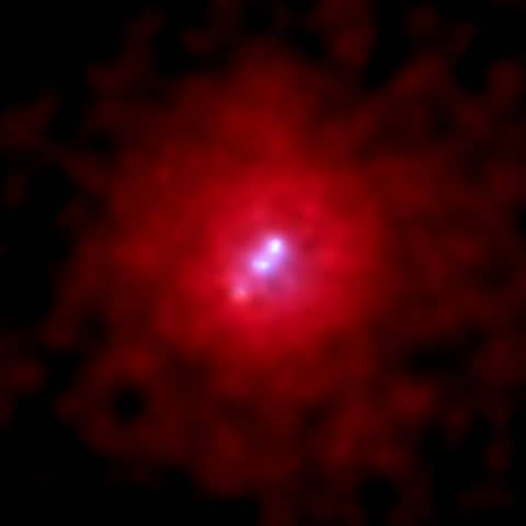 3C 295: X-rays From A Giant Galaxy