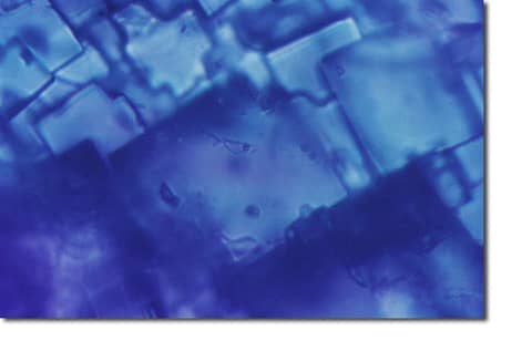 Water Found in Space Rock