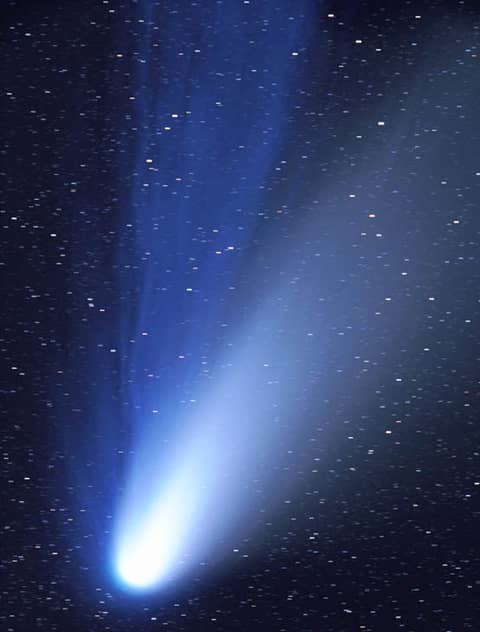The Dust and Ion Tales of Comet Hale-Bopp