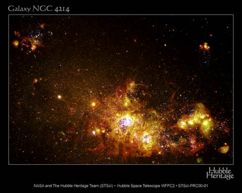 NGC 4214: Star Forming Galaxy