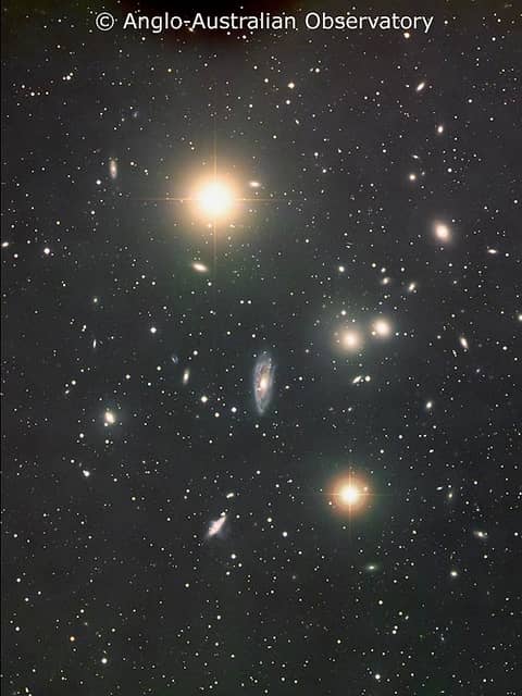 The Hydra Cluster of Galaxies