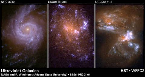 Spiral Galaxy NGC 3310 in Ultraviolet