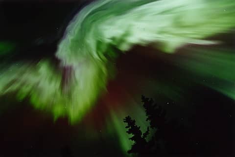Aurora Alaskan Style