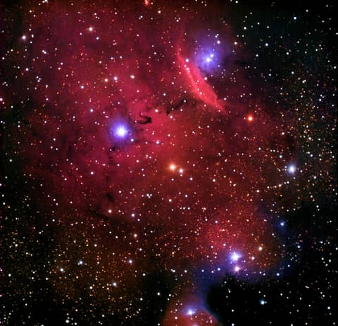 Emission and Reflection in NGC 6559