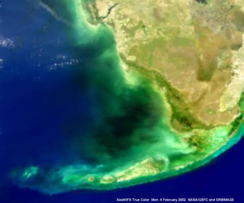 Mysterious Black Water in Florida Bay