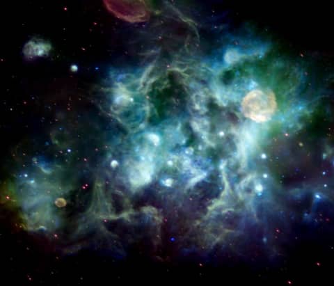 A Radio Vista of Cygnus