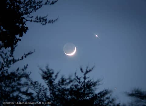 Love and War by Moonlight