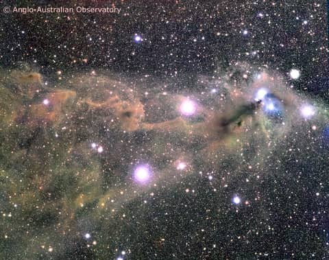 Star Clouds Toward the Southern Crown