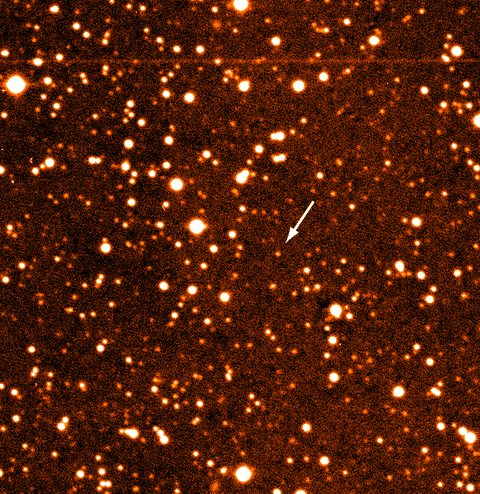 Quaoar: Large Asteroid in the Outer Solar System