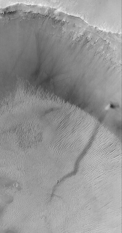 A Dust Devil on Mars