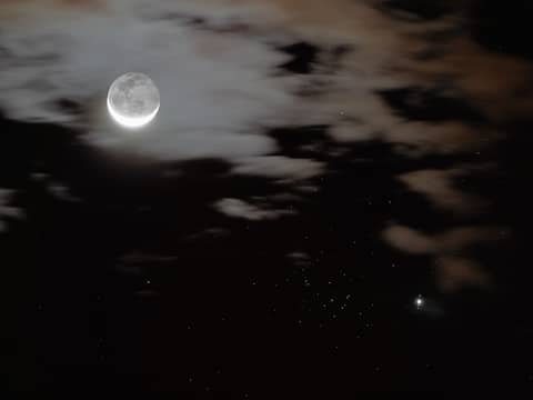 Jupiter, Moons and Bees