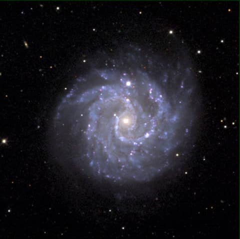 A Gamma Ray Burst - Supernova Connection