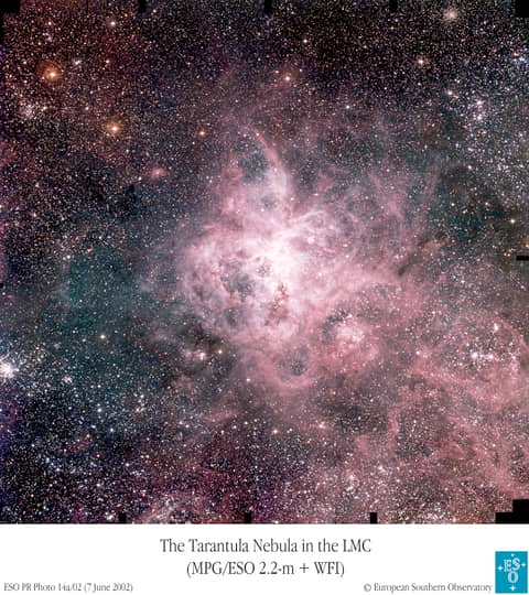 The Tarantula Zone