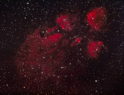 The Cat's Paw Nebula