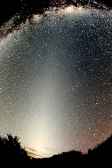 Zodiacal Light and the False Dawn