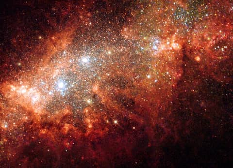 NGC 1569: Starburst in a Small Galaxy