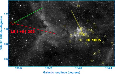 Microquasar in Motion