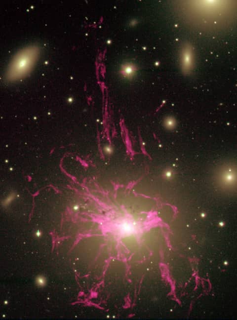 Unusual Gas Filaments Surround Galaxy NGC 1275