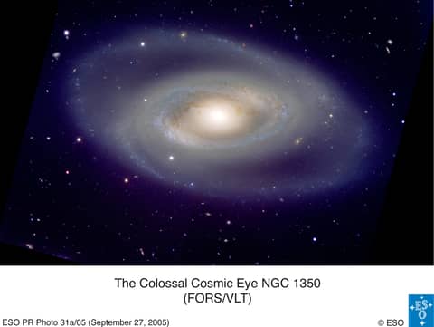Spiral Galaxy NGC 1350