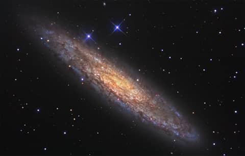 NGC 253: Dusty Island Universe