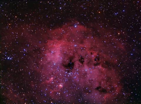 IC 410 and NGC 1893