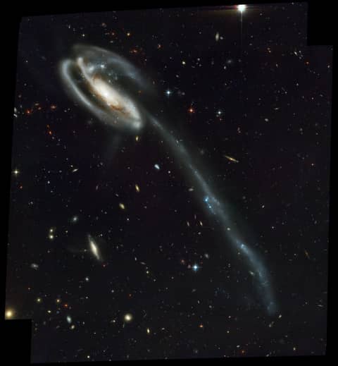 Arp 188 and the Tadpole's Tidal Tail