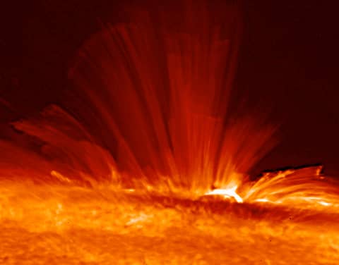An Active Sunspot Viewed Sideways