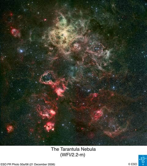 Tentacles of the Tarantula Nebula