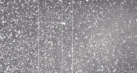 Comet Encke's Tail Ripped Off