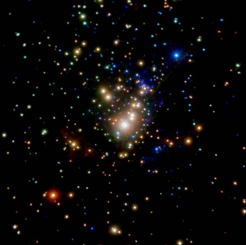 X-ray Stars of Orion