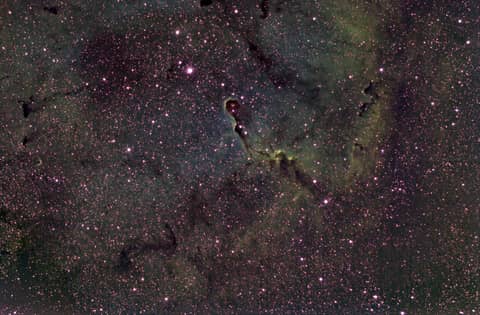 The Elephant's Trunk in IC 1396