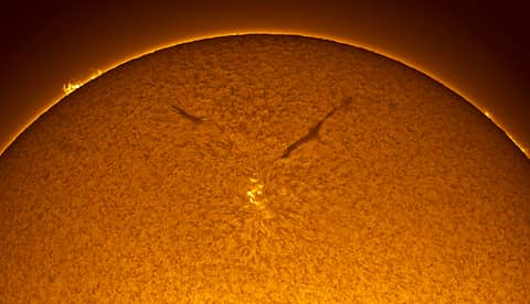 Sunspot in the Old Solar Cycle