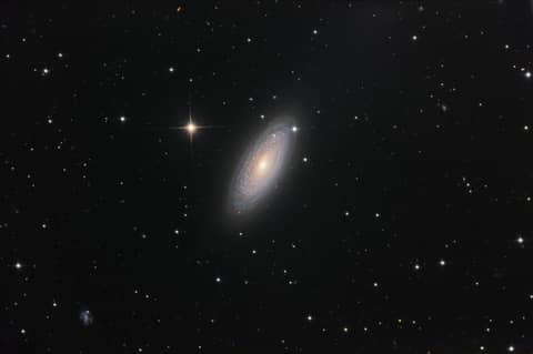 Spiral Galaxy NGC 2841