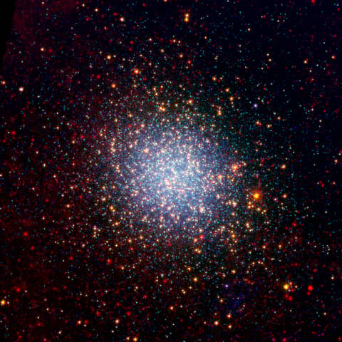 The Giants of Omega Centauri