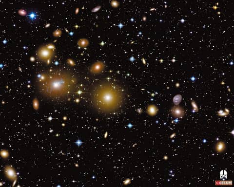 The Perseus Cluster of Galaxies