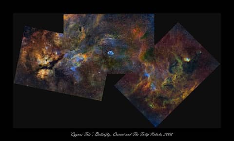 Cygnus Trio